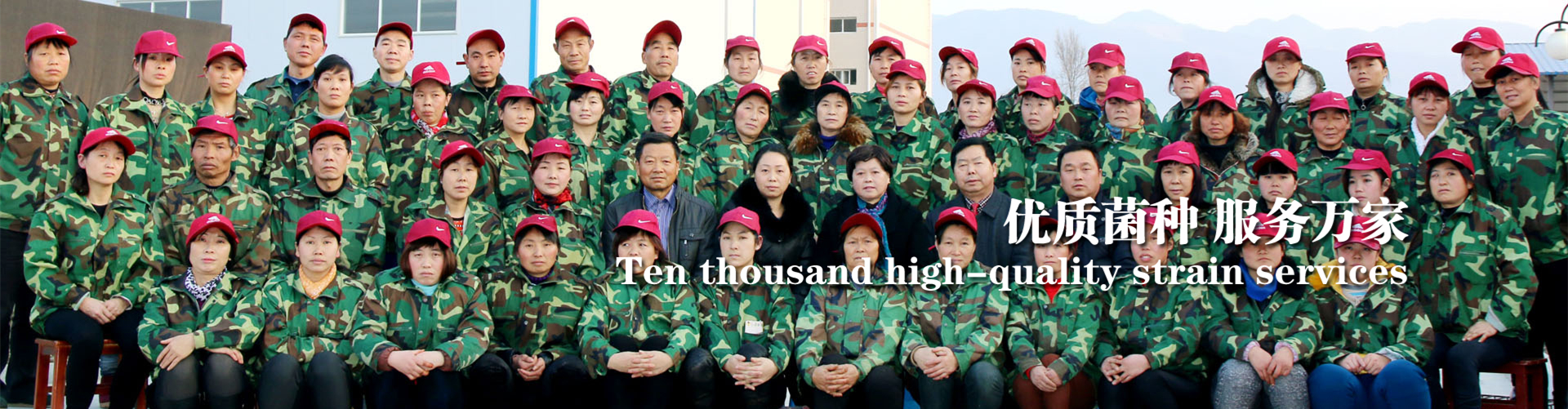 <strong>穩(wěn)定、放心，就選春森</strong>