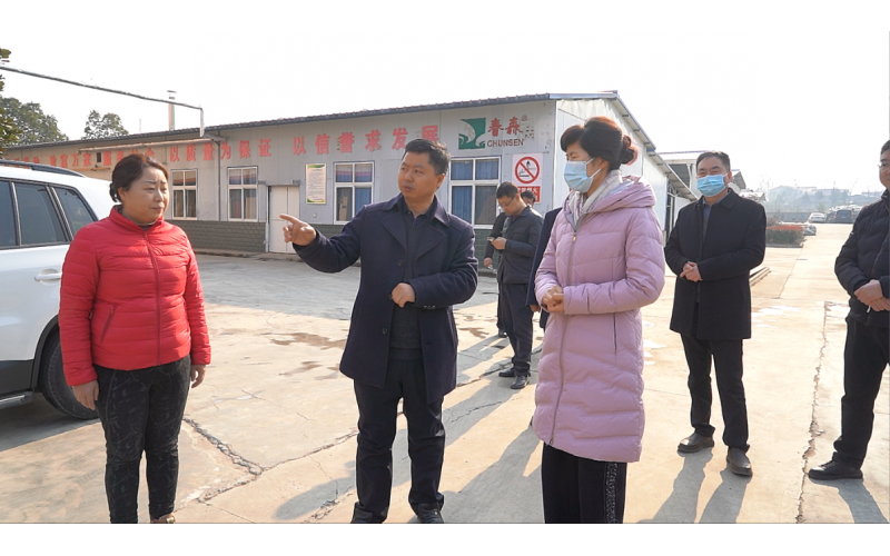 西鄉(xiāng)縣委副書(shū)記、縣長(zhǎng)王亞珍調(diào)研農(nóng)業(yè)產(chǎn)業(yè)發(fā)展工作